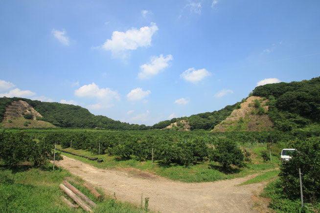 上門農園のこだわり