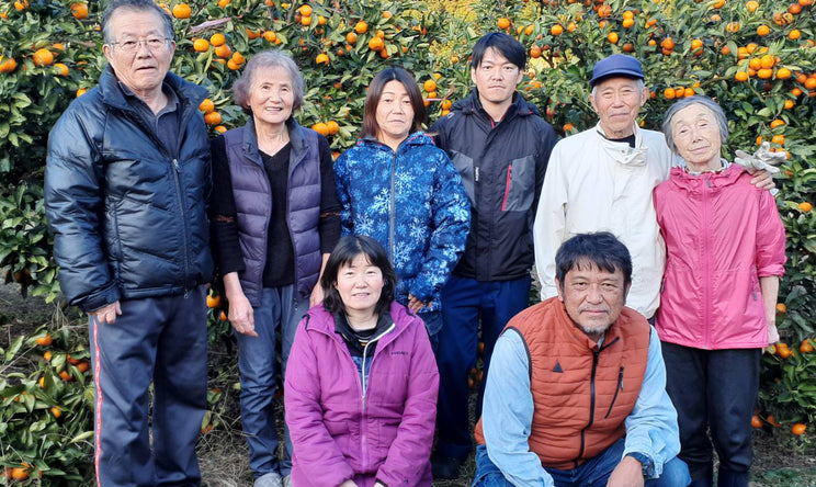 和歌山有田みかん・高級梅ジュースなら200年の伝統栽培の上門農園